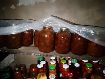 Baki ənciri.evde hazirlanib. Temiz ve səliqəli.dənəsiz. 3 lalafo.az -da Baki ənciri.evde hazirlanib. Temiz ve səliqəli.dənəsiz. 3