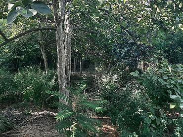 ev satisi: 6 otaqlı, 200 kv. m, Orta təmir — 5