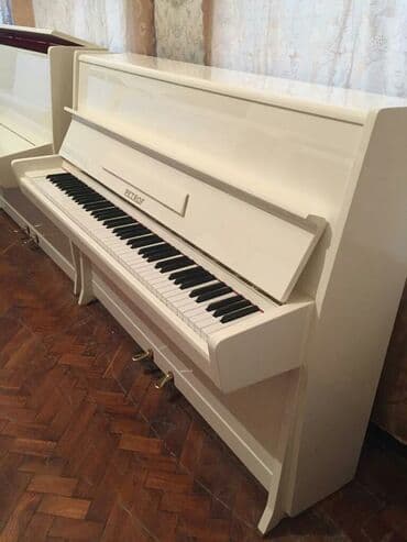 piano petrov: Pianino PETROF Cexya stehsalı. Ideal vəziyyədə. Cadırılma və köklənmə — 3