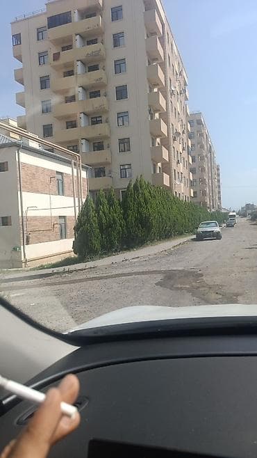 Tikinti