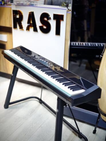 турецкие музыкальные инструменты: Пианино, Цифровой, Новый, Самовывоз — 3