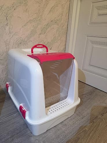 pişik eşyaları: Britan — 2