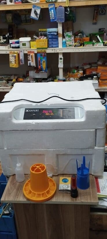 sud şağan aparat: Inkubatorlarin birinci əl satişi unversal inkubator inkubator 196 — 3