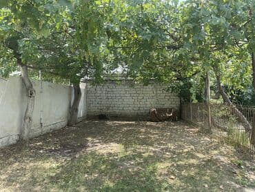 xirdalanda satilan torpaqlar: 7 sot, Barter mümkündür, Kupça (Çıxarış) — 4