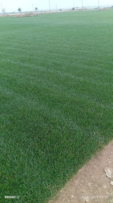 qazon bicen satilir: Abadliq isi torf satsi torf,torpaq,peyin torf 20litr 250litr 100litr — 7