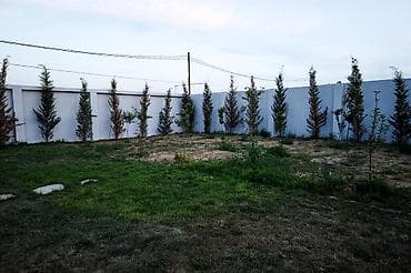 qax hovuzlu ev: 250 kv. m, 3 otaqlı, Hovuzlu, Qaz, Su, Telefon — 6