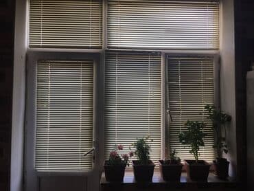 masallı torpaq: 3 otaqlı, Yeni tikili, 120 kv. m — 3