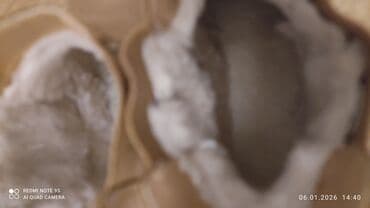 nabuk ayaqqabi: Qadın üçün isti qış botları - Model: Chelsea tipli, yanlarda elastik — 2