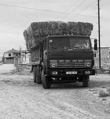 traktor 892 qiymeti: Kamaz markalı, tünd yaşıl rəngdə yük maşını. Kənd təsərrüfatı və ya — 3