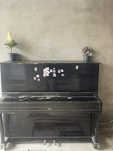 Piano, Belarus, Akustik