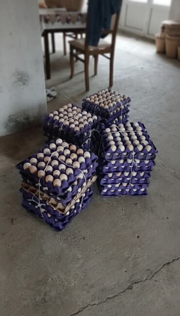 pon pon yumurtası: Təbii kənd toyuğu yumurtası - Azad gəzən, qarğıdalı və taxıl yemlənən — 1