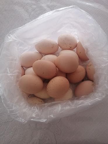 Təbii toyuq yumurtası - Rəng: Krem-açıq qəhvəyi qabıqlı - Ölçü