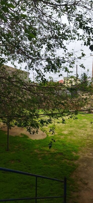 xacmaz torpaq sahesi satilir: Həyətyanı torpaq sahəsi - Yaşıllıqla örtülü geniş həyət, sıx kölgə — 3