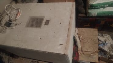 Lincoln: 300 яиц, Азербайджан, Для всех видов птиц — 1