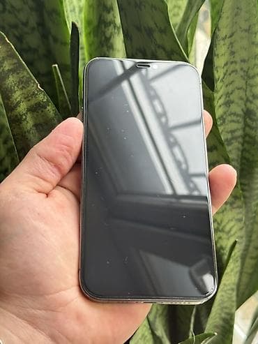 minik telefonlar: IPhone 12 Pro, Graphite — 2