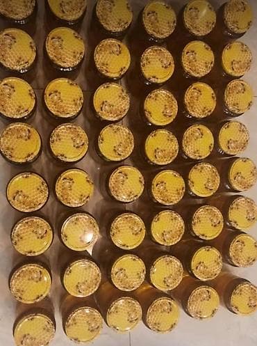 bal qoz qarisimi: BAL Orjinal — 1