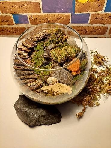 Şüşə qabda mini landşaft – yosun və kaktuslu terrarium - Şəffaf, kürə