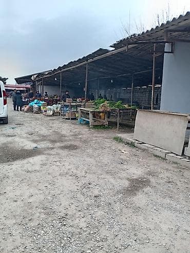 Şəkillər, tablolar: Əl naxışlı taxta sandıq - Material: bərk taxta, üstü əl ilə çəkilmiş — 2