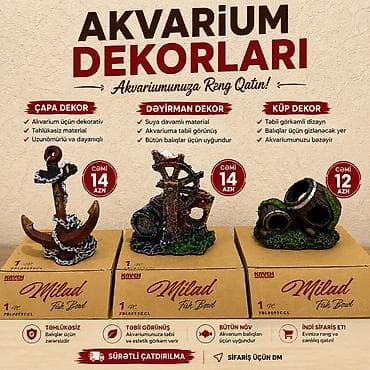 akvarum baligi: Akvarium Dekorları – akvariumunuza rəng və təbii görünüş qatın! Ünvan — 1