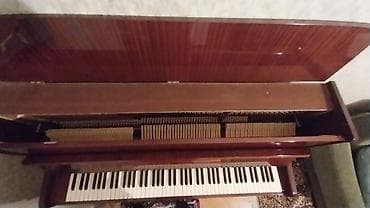 gitara akustik: Piano, Akustik, İşlənmiş — 2
