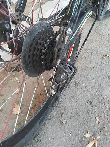 velo disk: Velosiped – VELOSPORT dağ tipli - Çərçivə: yüngül alaşımlı, idman — 7