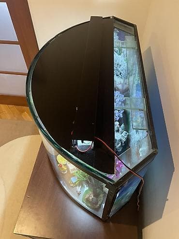 krab: Yarımoval formalı dekorativ akvarium — 2