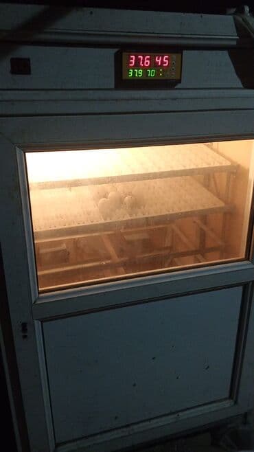 Süd sağan aparatlar: Salam Bakıdadir. 850yumurta sayı var. özü tenzimləyir — 1