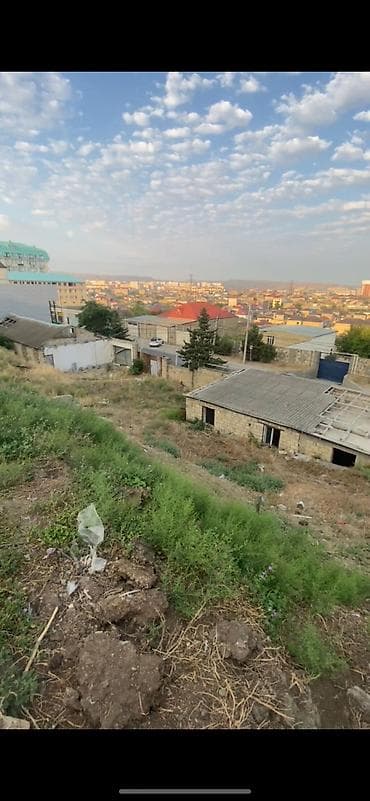 topaq: 15 sot, Tikinti, Kupça (Çıxarış) — 4