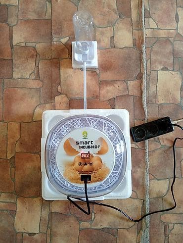 Süd sağan aparatlar: 12 ededlik “Smart Incubator” yumurta inkubatoru Xüsusiyyətlər: - — 2