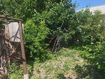 4 otaqlı ev: Sumqayıt, 4 kv. m, 1 otaqlı, Hovuzsuz — 8