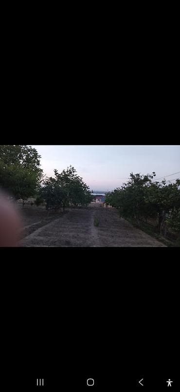 3 sot, Tikinti, Mülkiyyətçi, Kupça (Çıxarış) — 2