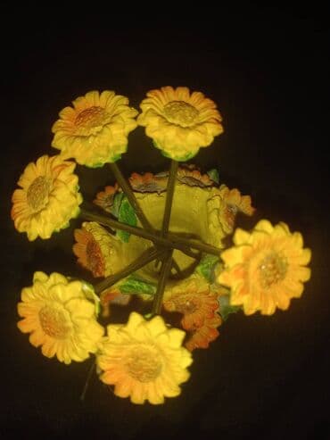 dilek şarı: Fiqur, rəng - Sarı — 1