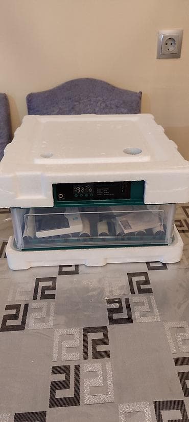 Restoran, kafe avadanlığı: Yeni böyük inkubator alınacağı üçün satılır. 1 dəfə istifadə olunub — 1