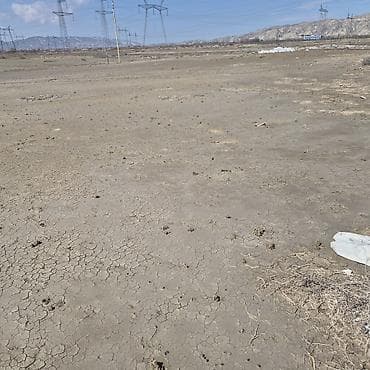 sabuncu torpaq: Tikinti — 3