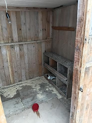 qoyun heyvan: Taxta göyərçin yuvası/volyer - Material: tamamilə ağacdan yığılmış — 4