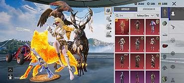 pupg hesabi: PUBG Mobile oyun hesabı – zəngin kolleksiya və nadir kosmetikalar - — 1