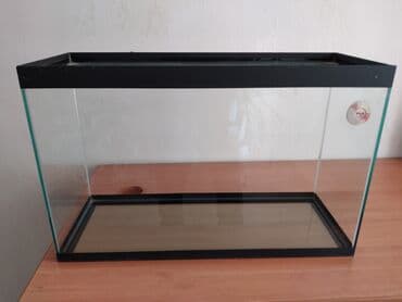 İtlər: Şüşə akvarium - Material: şəffaf qalın şüşə, üst və alt hissədə — 1