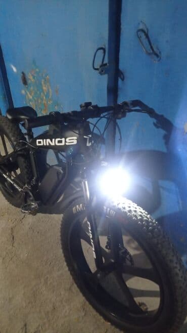 Yeni Elektrik velosipedi 29", 750 < Vt