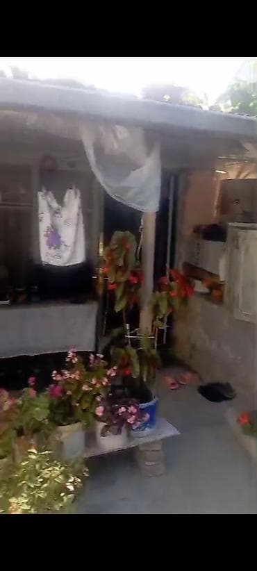 otaq gullerinin adlari: Sabunçuda orta təmirli ev satılır təcili 19 minə istiyən olsa — 2