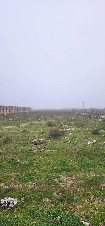25 sot, Kənd təsərrüfatı, Mülkiyyətçi, Kupça (Çıxarış)