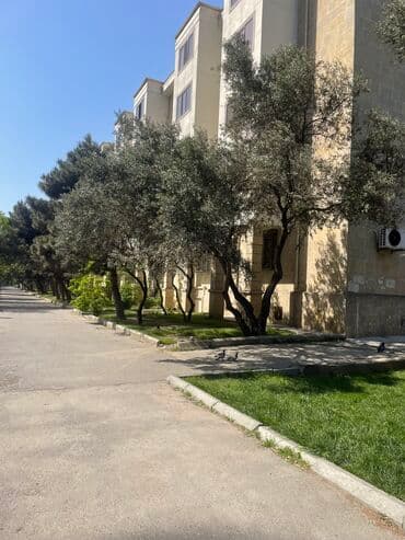 anbar icarəyə verilir: Salam.Zehmet olmasa vapcatla elaqe saxliyin,fikri ciddi olan sexsler — 4