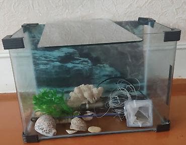akvarum baliq: Akvaryum dəsti - Şüşə akvaryum, üst qapağı ilə - Künclərdə qoruyucu — 1