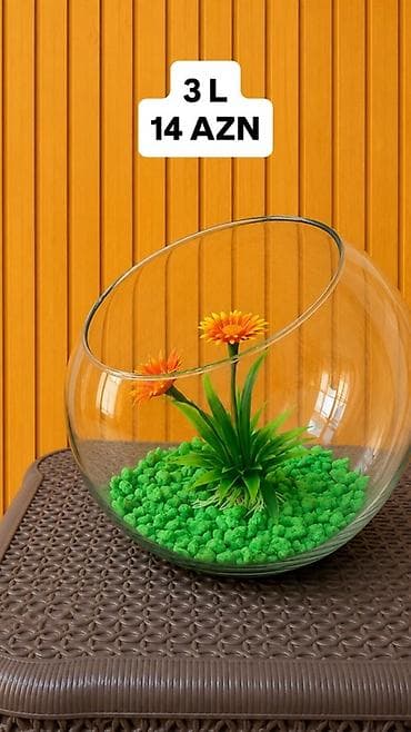 sobo wp 6001: Yumru akvarium, Boş, 3 l, Ünvandan götürmə, Pulsuz çatdırılma, Ödənişli çatdırılma — 1