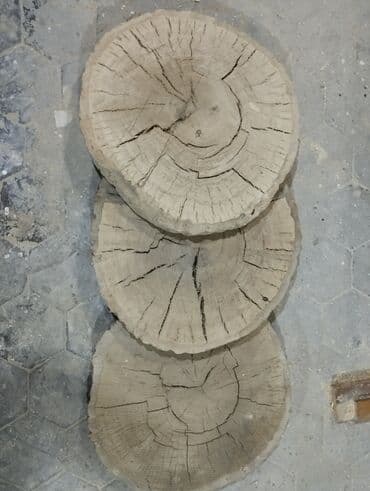 бумага для цветов: Palıd gövdəsindən kəsilmiş dairəvi şləflər (dilimlər) Bir ədədi 30m — 2