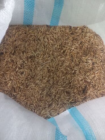 ZİL: Məhsul: Düyü qabığı (kəpək qabığı/çovdar qını tipli düyü pərdəsi) — 3