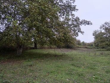 kreditle torpaq alqi satqisi: Tikinti — 2