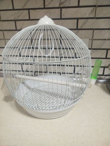 купить клетку для морской свинки: Quşlar üçün ağ rəngdə sferik formada qəfəs. İçərisində bir ədəd oturaq — 2