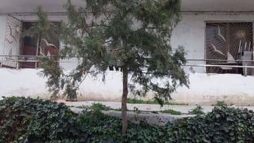 2 комнатная квартира в баку вторичное жилье: Баку, 2 комнаты, Вторичка, м. Халглар Достлугу, 60 м² — 10