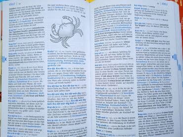 ingilis dili lüğəti pdf: Langenscheidt "Power Wörterbuch Deutsch" 1125 səhifəli kitabda — 5