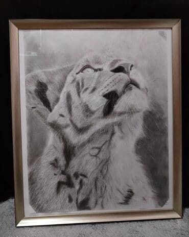 ana dilinə aid şəkillər çəkmək: Qara karandaşla 30 saata çəkilmiş hiperrealist rəsm əsəri satılır — 1